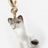 Charm's Ragdoll Cat