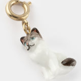Charm's Ragdoll Cat