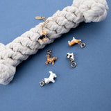 Charm's French Bulldog Dog