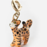 Charm's Bengal Cat