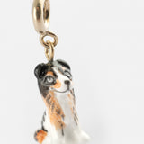 Charm's Australian Shepherd Dog