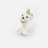 Charm's Coton de Tulear Dog
