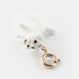 Charm's Coton de Tulear Dog
