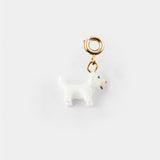 Charm's Coton de Tulear Dog
