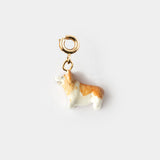 Charm's Corgi Dog