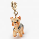 Charm's Yorkshire Dog