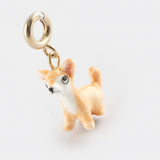 Charm's Chihuahua Dog