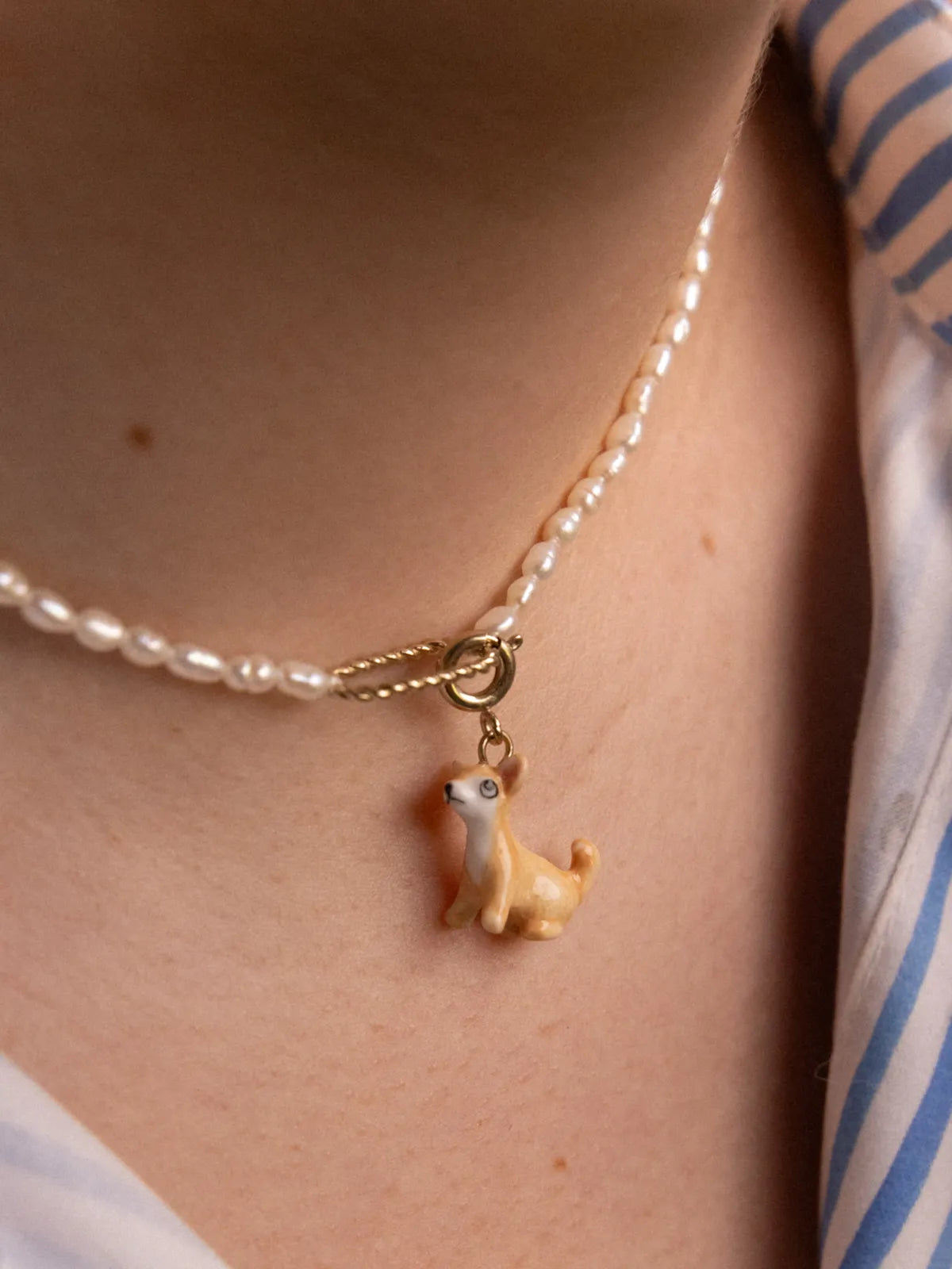 Charm's Chien Chihuahua