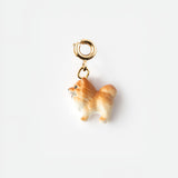 Charm's Spitz Dog