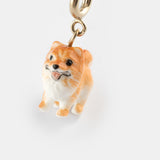 Charm's Spitz Dog
