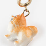 Charm's Spitz Dog