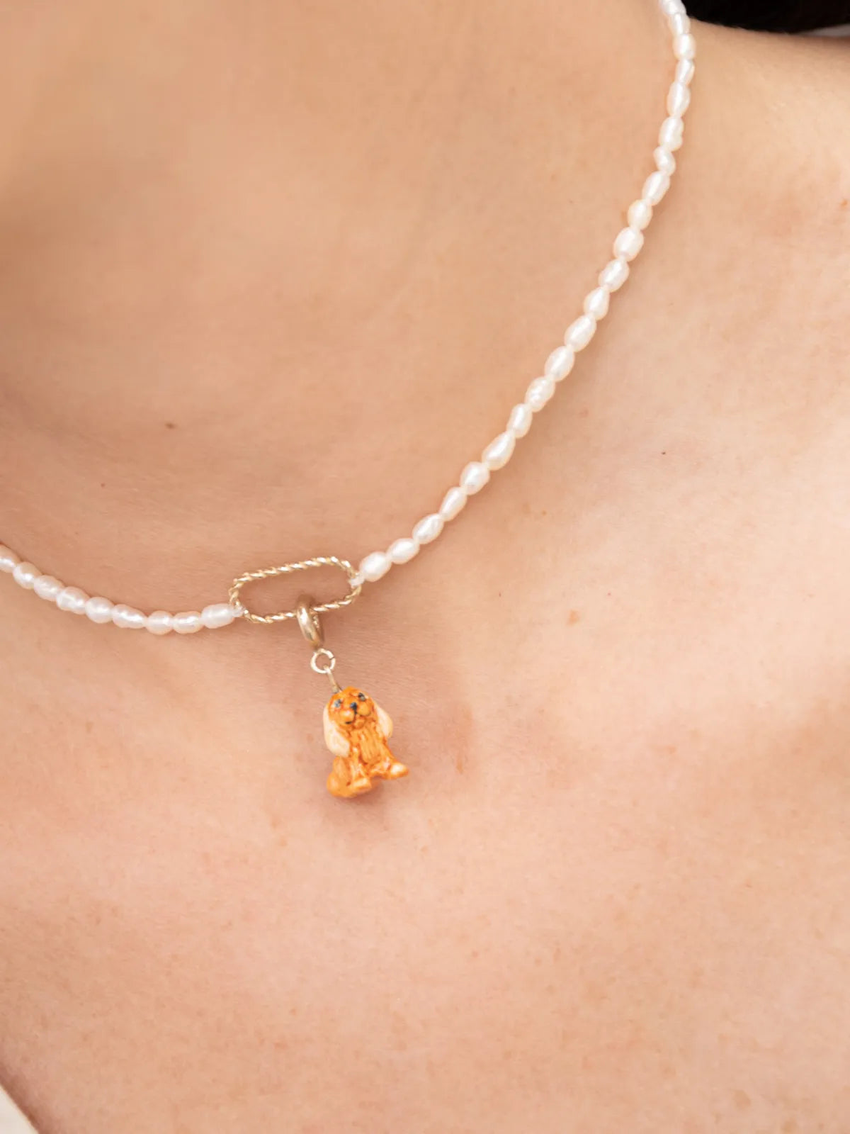 Charm's Cocker Spaniel Dog