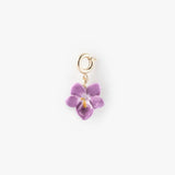 Charm's violette
