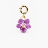 Charm's violette