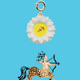 Charm's Sagittaire - Astro