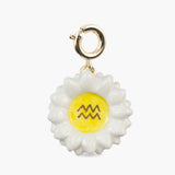 Charm's Verseau - Astro