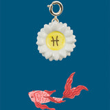 Charm's Poisson - Astro