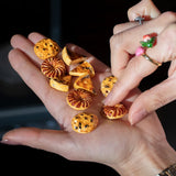 Transformable bean - The cookie