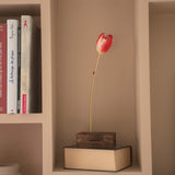 Tulipe éternelle rouge