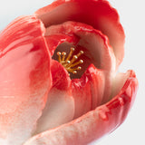 Tulipe éternelle rouge