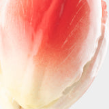 Tulipe éternelle rouge