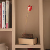 Red eternal tulip