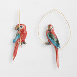 Red parrot creoles