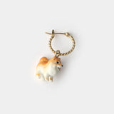 Mini Spitz dog creole - Sold individually