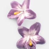 Puces d'oreilles violette