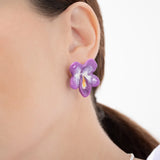 Puces d'oreilles violette