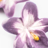 Puces d'oreilles violette