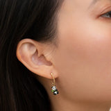 Mini créole panda - Vendue à l'unité