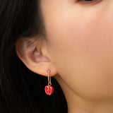 Mini créole tomate - Vendue à l'unité