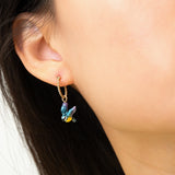 Mini créole mésange - Vendue à l'unité