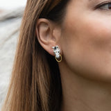 White horse head ear fleas