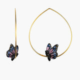 Moyennes créoles papillon de nuit