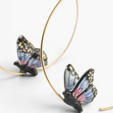 Moyennes créoles papillon de nuit