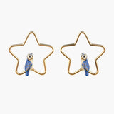 Criollas de estrellas y búho azul