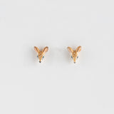 Puces d'oreilles biche