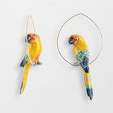 Créoles oiseau conure soleil
