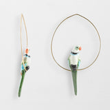 Blue &amp; green parrot creoles
