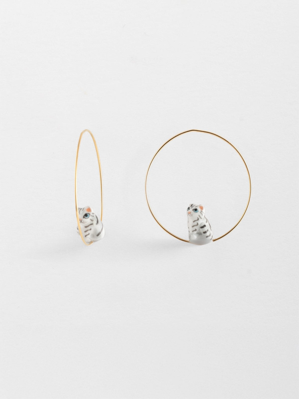 Petites créoles chaton tabby