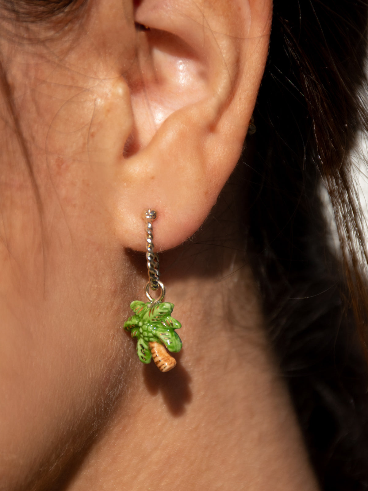 Mini créole palmier - Vendue à l'unité