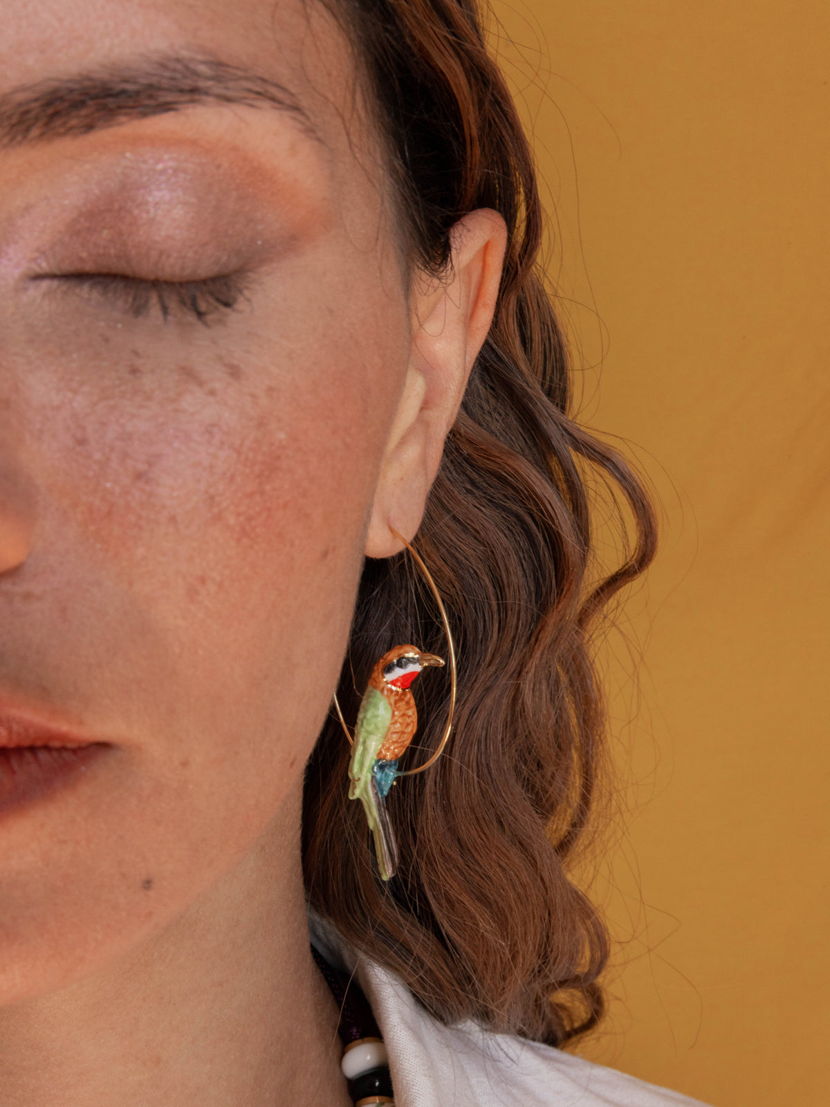 Créoles guêpier d'Afrique