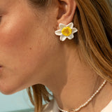 Puces d'oreilles Jonquille