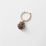 Mini créole pomme de Pin - Vendue à l'unité