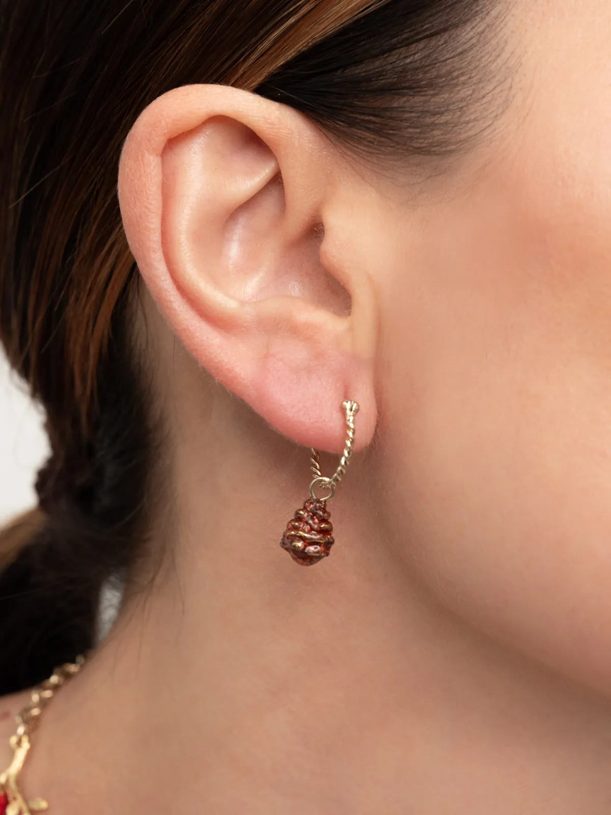 Mini créole pomme de Pin - Vendue à l'unité