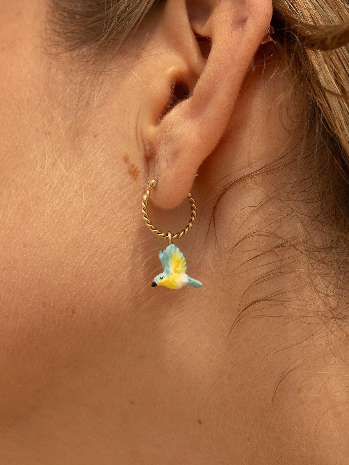 Mini créole Oiseau Paruline bleue  - Vendue à l'unité