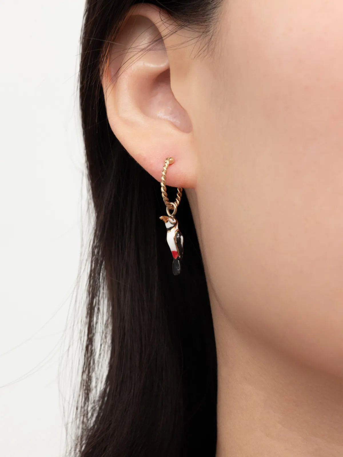 Mini créole oiseau Pic Maculé - Vendue à l'unité