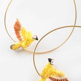 Large Creole Bird Flicker